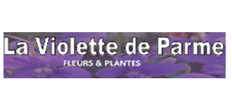 La Violette de Parme - Fleurs et Plantes